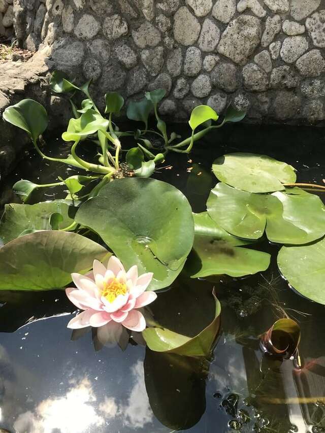 Гостевой дом Lustforlive Одесса-14